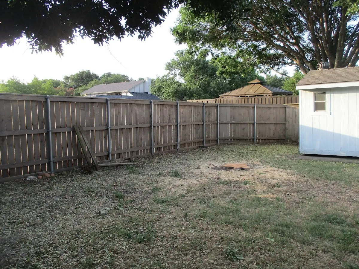 Cleared yard after professional tree removal in Hopewell