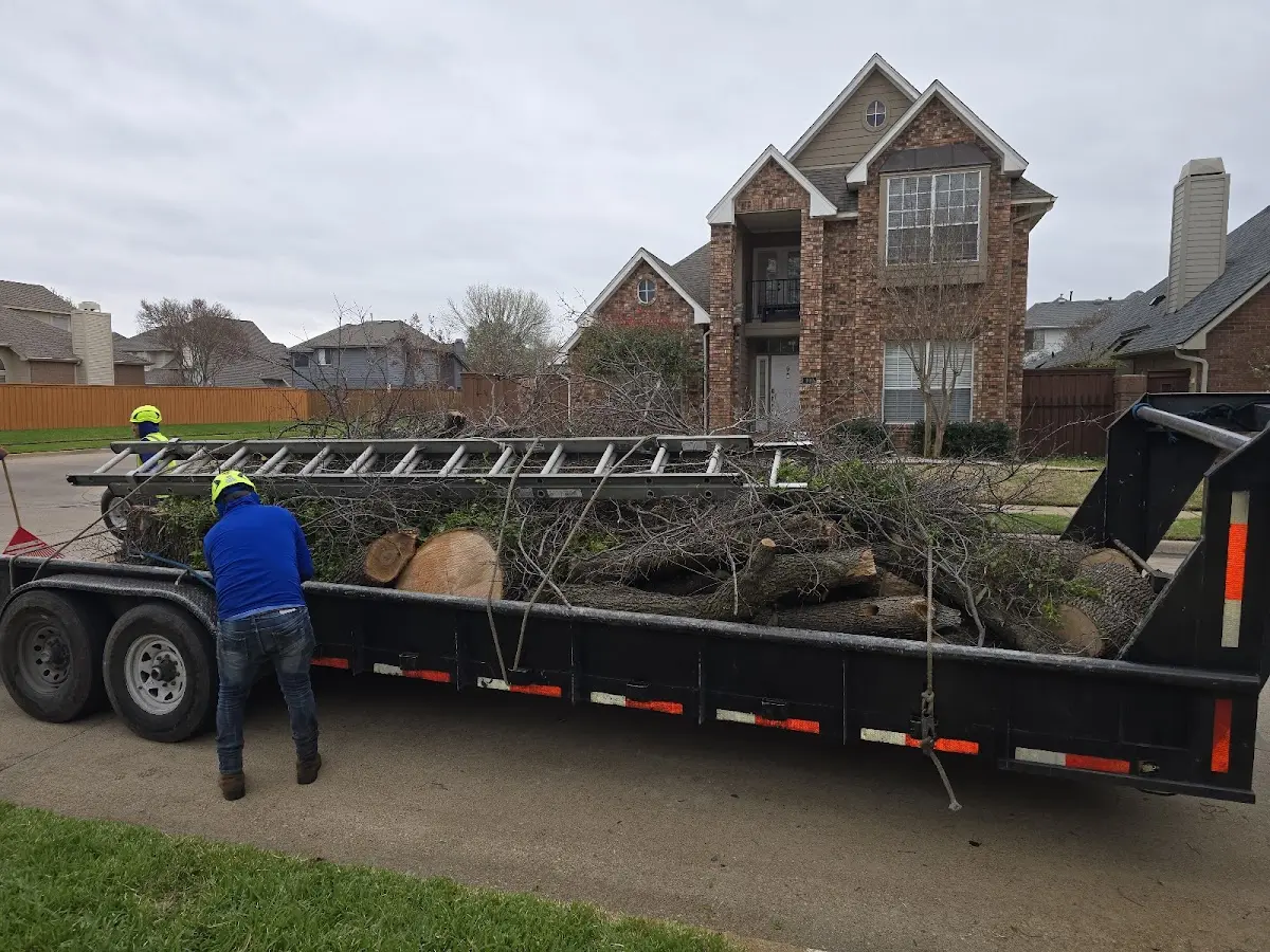Expert Tree Fertilization with proper safety equipment in Hopewell